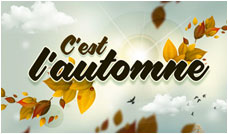 Graphisme automne