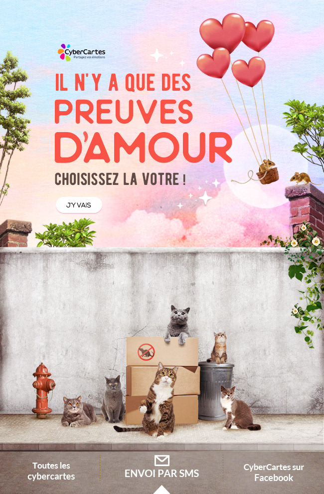 Campagne CyberCartes, Preuves d'amour